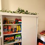 روانشناس کودک حسنی