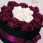 باکس گل و پول جاودانه