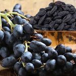 مویز خشکبار مزتاک