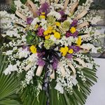 گلفروشی سی تو (ارسال رایگان)