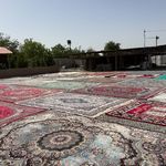 قالیشویی مهدی