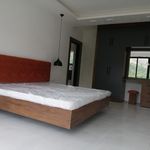 طراح و مجری دکوراسیون داخلی اروین چوب