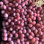 میدون میوه و تره بار قشم (میدون تره بار)