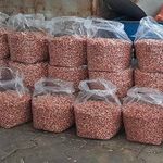 بادام زمینی مغان