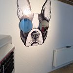 دامپزشکی پتی ما