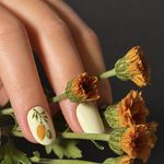 سالن تخصصی زیبایی نازنین ربانی