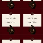 سولاریوم کوئین