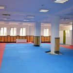 مجموعه فرهنگی ورزشی ولایت