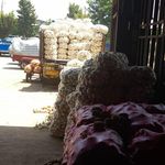 بار فروشی شمس الله قلیوند و برادران حجره ۱۰۰