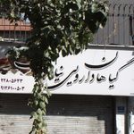 گیاهان دارویی