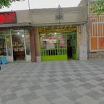 مشاور املاک کوچ سعید شادیانی