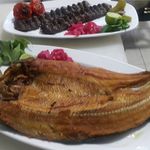 اکبرجوجه لنگرود