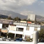 گوشت و مرغ و ماهی سلامت