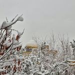 امام حسن مجتبی