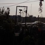 گل فروشی