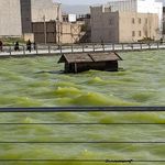 دریاچه مصنوعی شاپوری