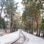 پارک آبشار شاهرود