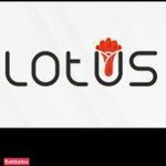 فروشگاه لوتوس