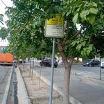 بستنی نعمت شعبه استخر