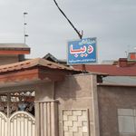 دوزندگی طلایه