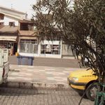 دوزندگی طلایه