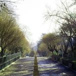 پارک نیاوران (بوستان نیاوران)