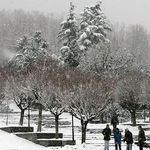 پارک نیاوران (بوستان نیاوران)