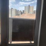 علیرضا شریعت دوست