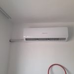 علیرضا شریعت دوست