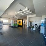 نمایندگی رنو تیموری
