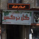 گل نرگس