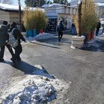 کفش دی سی