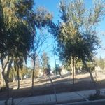 بوستان کوکب