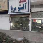 گل آلستو مریا