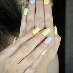 خدمات کاشت ناخن شیما حامدی