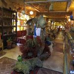 مجتمع اقامتی جهانگردی محلات