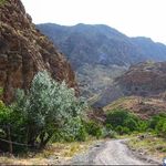 پناهگاه حیات وحش خوش ییلاق