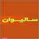 اسباب بازی سالیوان