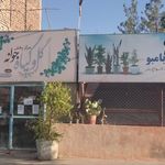 گل وگیاه جوانه