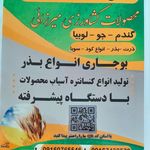 اکو کرایه عابدی