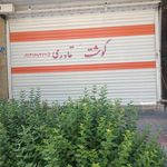 پروتئین سلطان