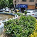 میدان دربند