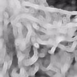 خدمات کراتین مو محمدی