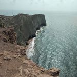 ساحل لاکپشت ها