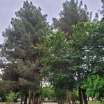 پارک ۱۵ خرداد