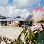 هتل شاپورخواست