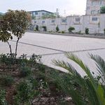 رویا کشاورز ملائی