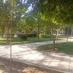 بوستان 22 بهمن