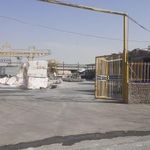 سنگبری فرد اسلامی