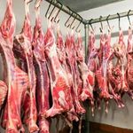 پروتئین نجفی